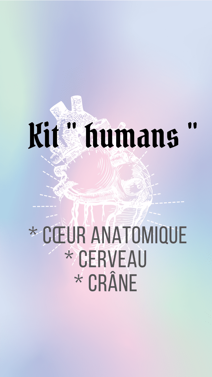 kit HUMANS