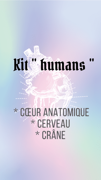 kit HUMANS